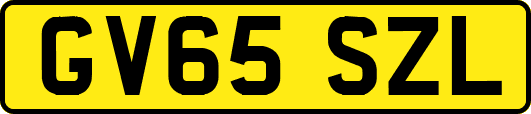 GV65SZL