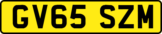 GV65SZM