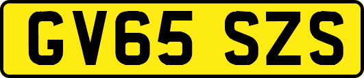 GV65SZS