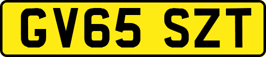 GV65SZT