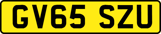 GV65SZU