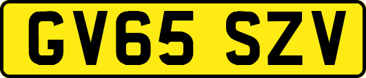 GV65SZV