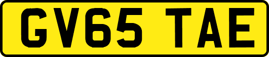GV65TAE