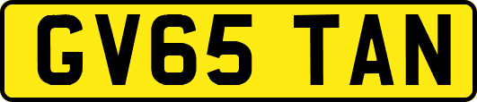 GV65TAN