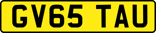 GV65TAU