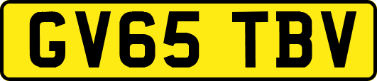 GV65TBV
