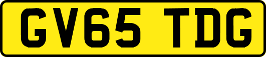 GV65TDG