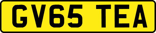 GV65TEA