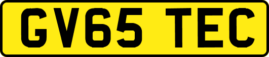 GV65TEC