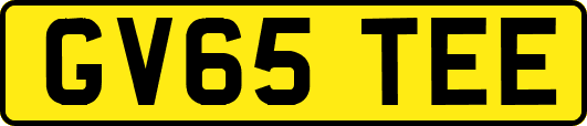 GV65TEE