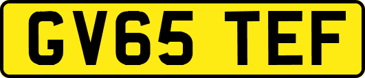 GV65TEF