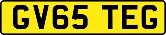 GV65TEG