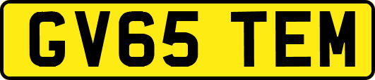 GV65TEM