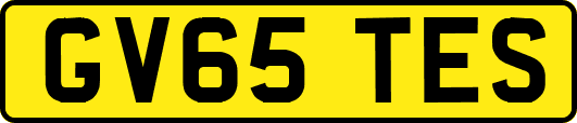 GV65TES