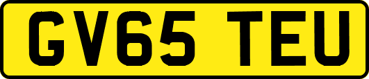 GV65TEU