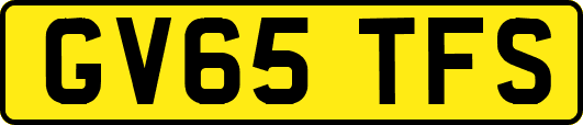 GV65TFS