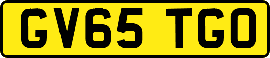 GV65TGO