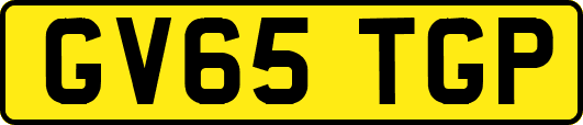 GV65TGP