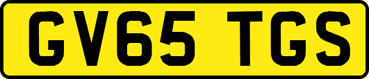 GV65TGS