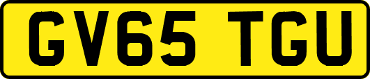 GV65TGU