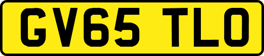 GV65TLO