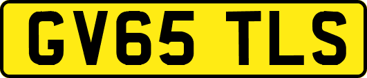 GV65TLS