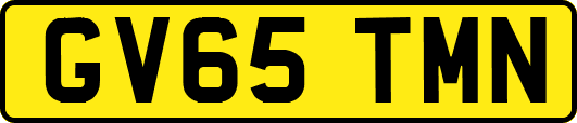GV65TMN