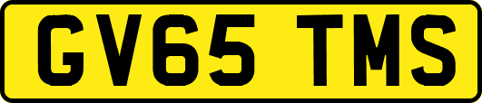 GV65TMS