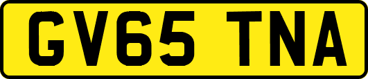 GV65TNA