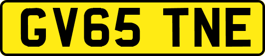 GV65TNE
