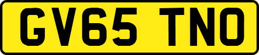 GV65TNO