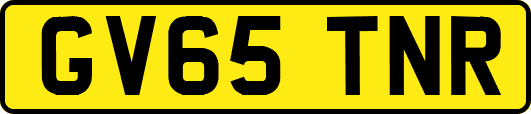 GV65TNR