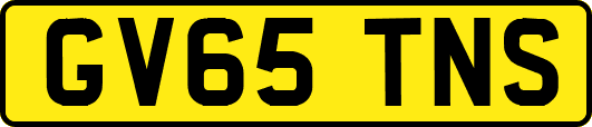 GV65TNS