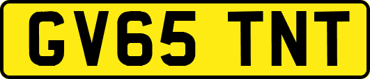 GV65TNT