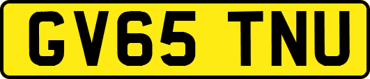 GV65TNU