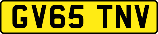 GV65TNV