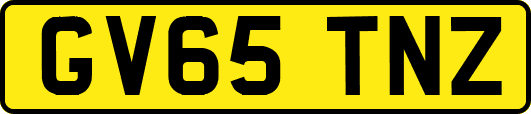 GV65TNZ