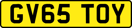 GV65TOY