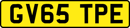 GV65TPE