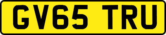 GV65TRU