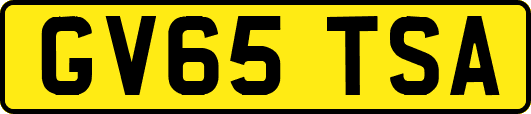 GV65TSA