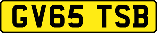 GV65TSB