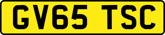 GV65TSC