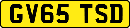 GV65TSD