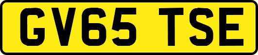 GV65TSE