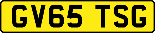 GV65TSG