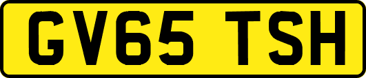 GV65TSH