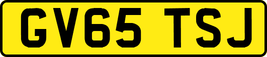 GV65TSJ