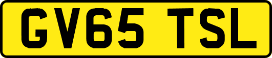 GV65TSL