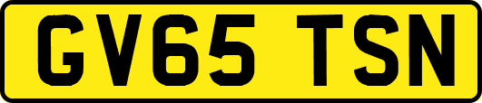 GV65TSN